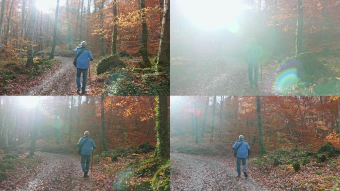 老人沿着秋天的森林徒步旅行的后视图