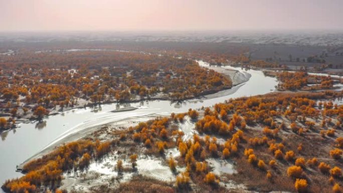 新疆鸟瞰图流域秋色水土流失