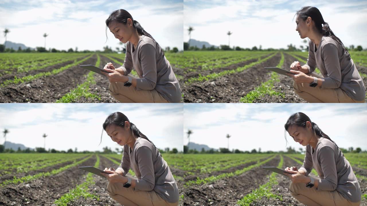 使用数字平板电脑的农民，使用数字平板电脑检查植物的农民