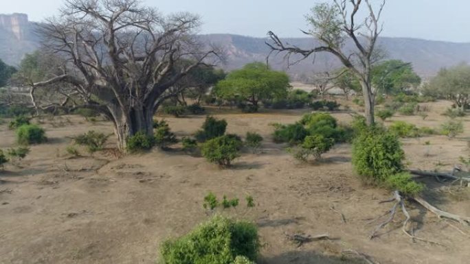 津巴布韦戈纳雷州国家公园4x4野生动物园车辆的4k鸟瞰图