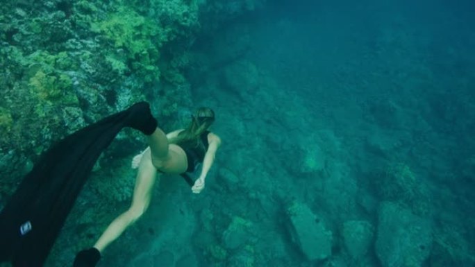 有吸引力的自由潜水者检查珊瑚礁