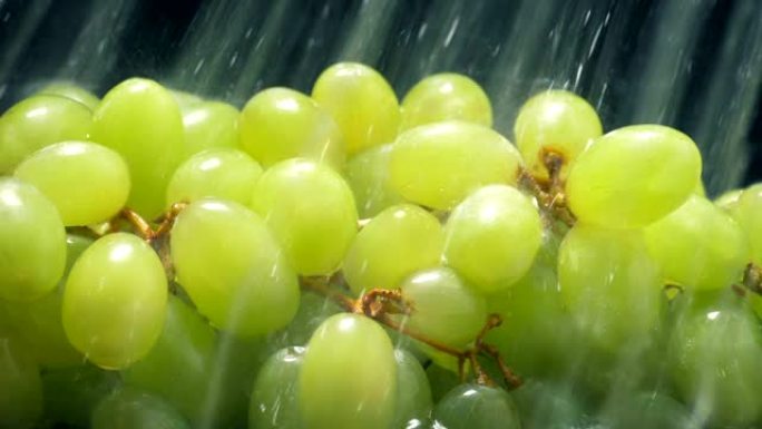 多汁的绿色葡萄在水雾中洗净