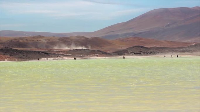 智利阿塔卡马沙漠,阿瓜斯卡连特斯盐都有红石的游客。