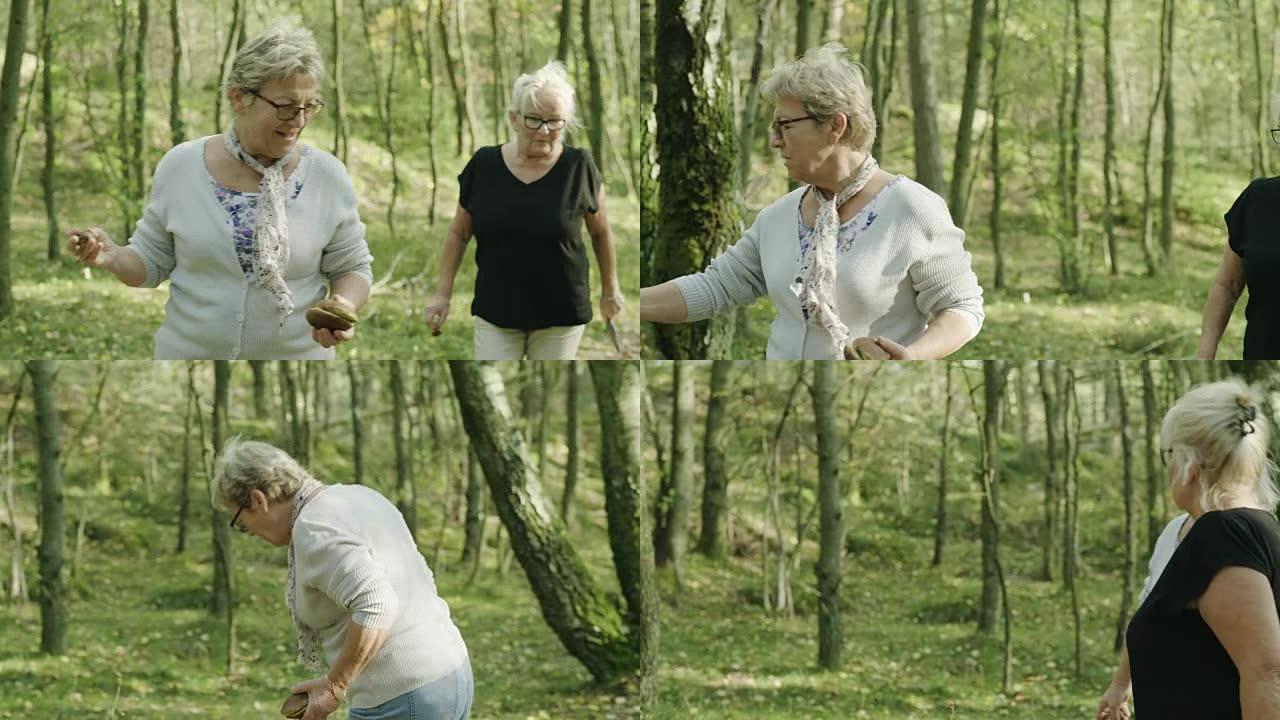 高级夫妇在森林里寻找食用菌