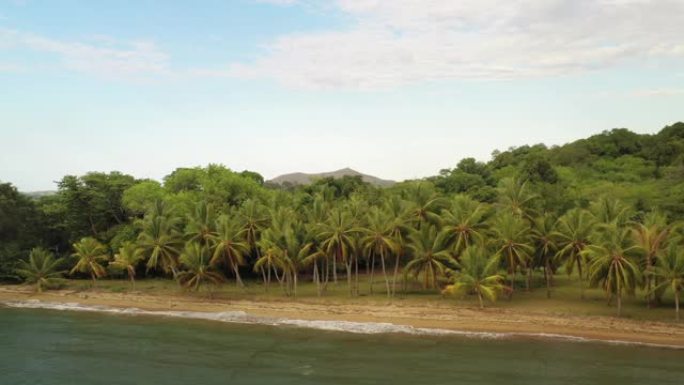 鸟瞰美丽的荒芜热带海滩，有清澈的大海、白色的沙滩和棕榈树。