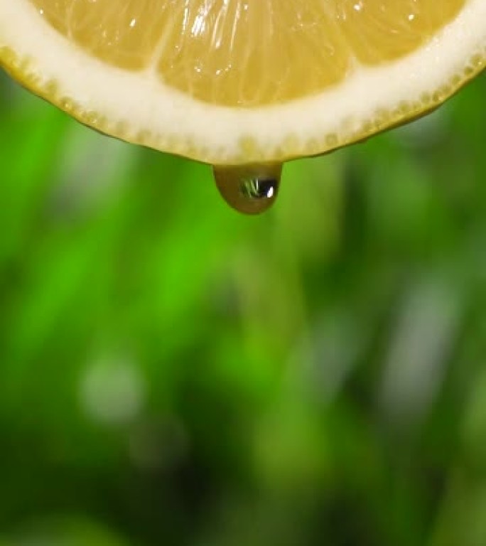 垂直和慢动作: 绿色bokeh上柠檬片中的许多液体掉落