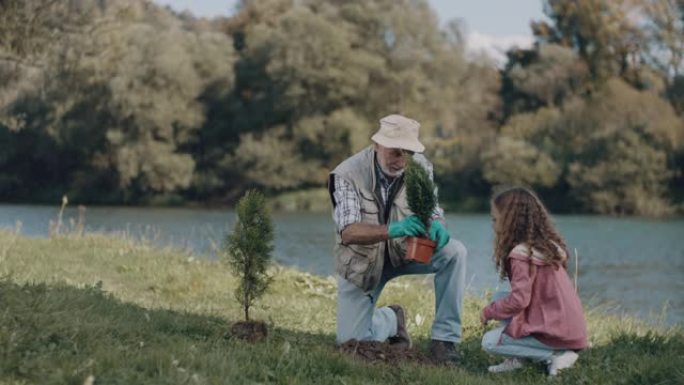 爷爷和小女孩种树外国外国人环保