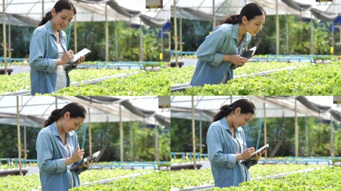 亚洲农民在她的农场使用平板电脑