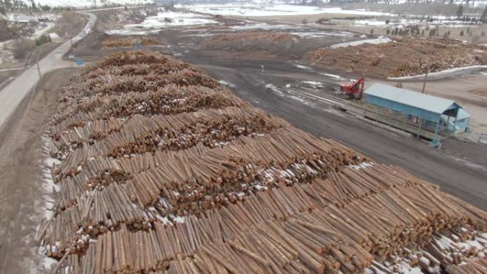 无人机: 锯木厂将大型原木堆积成大堆的壮观镜头。