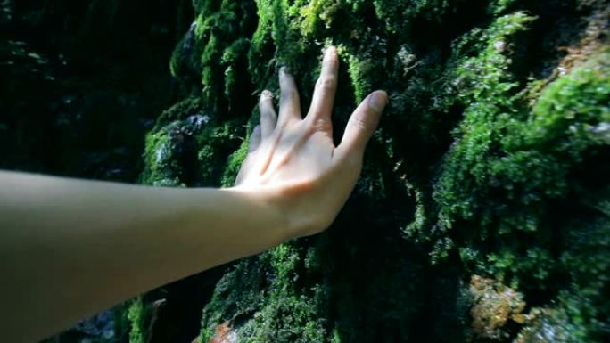 手触摸大自然中的岩石和苔藓