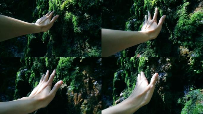 手触摸大自然中的岩石和苔藓