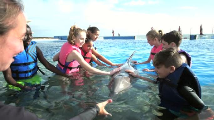 儿童和培训师在水中与海豚互动