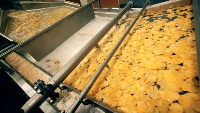 在食品工厂的现代输送机上油炸的薯片。