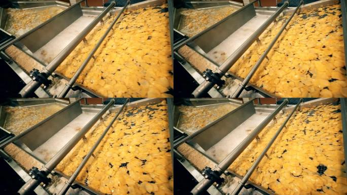 在食品工厂的现代输送机上油炸的薯片。