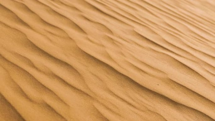 美丽的沙漠景观塔克拉玛干沙漠黄沙飞舞风吹
