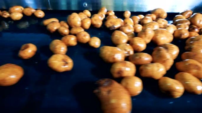 移动输送机上有洗过的土豆