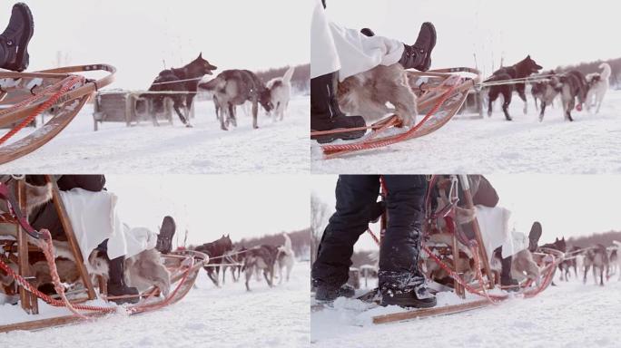 SLO MO狗在雪地里雪橇
