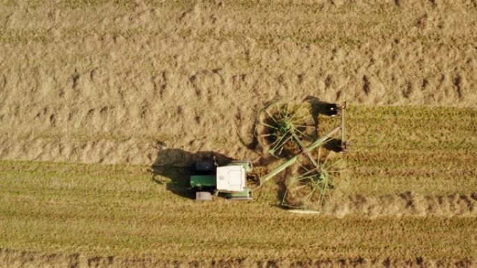 农业拖拉机的航拍正在田野上收集稻草，以便在晴天制作干草。