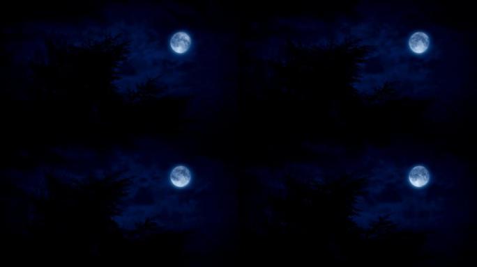 黑暗中尖刺树上方的满月