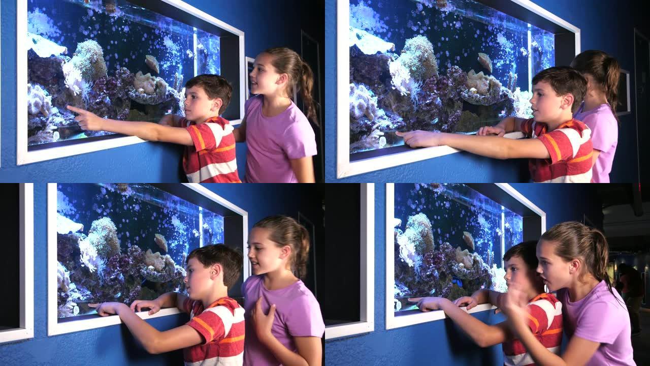 盐水鱼缸水族馆的年轻女孩和兄弟