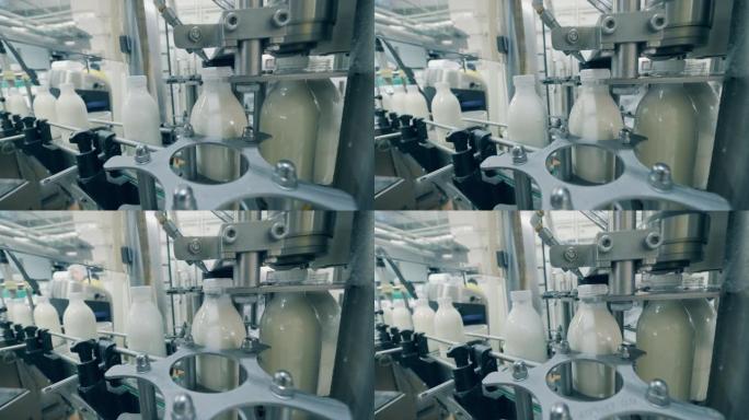 装有牛奶的瓶盖正在机械地装订。用牛奶灌装瓶子的自动化过程。