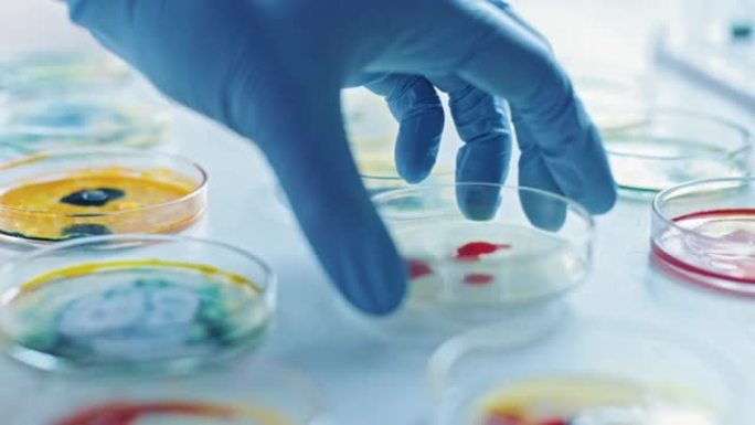 科学家使用培养皿与各种细菌，组织和血液样本。开发抗生素的药物概念，用DNA增强药物治疗疾病。移动特写