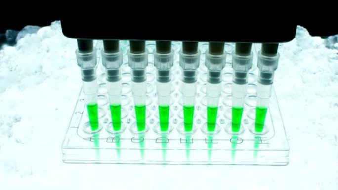 在一个未来的实验室里，一位科学家用移液管分析一种有色液体，以提取试管中的DNA和分子。