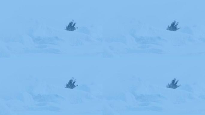 北极景观中的外星人飞船降雪量