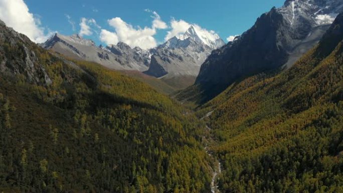 中国亚丁自然保护区秋季4k鸟瞰图和多莉走出山谷。