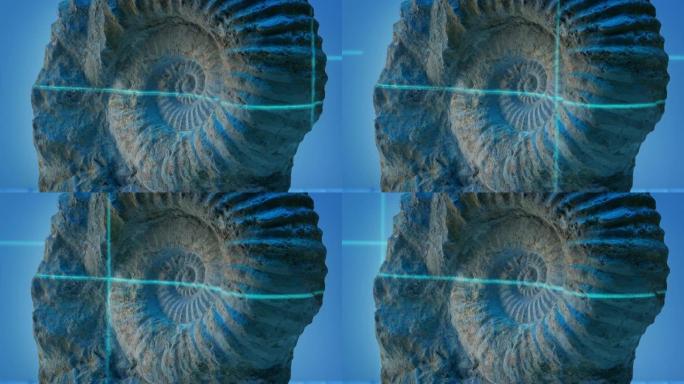 激光束扫描古代贝壳化石