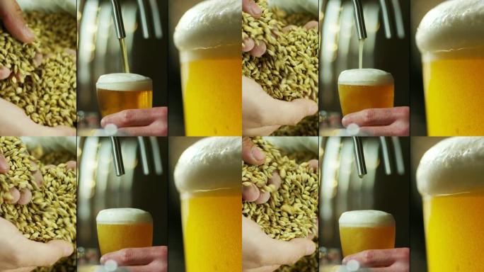 酒精啤酒的成分以及如何以传统方式从麦芽和啤酒花到酿酒厂的过程