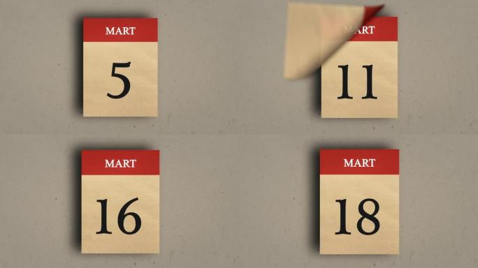 Calendar(18个超市)动画。