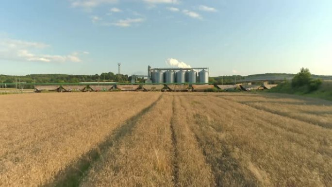 斯洛文尼亚阳光明媚的农村麦田后面的WS农业筒仓