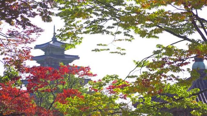 韩国秋季的景福宫韩国秋季的景福宫