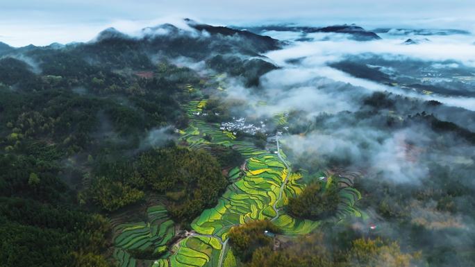 安徽黄山灵山油菜花梯田航拍