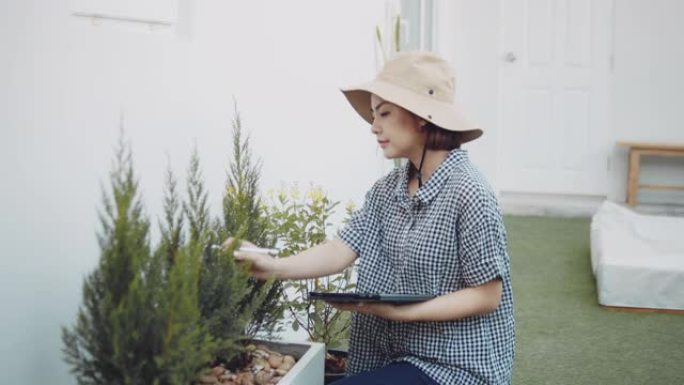 在阳光明媚的日子里，手里拿着平板电脑的现代农民检查花园。