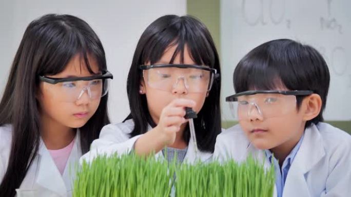 学校生物实验。如何让孩子们感兴趣在生物教室学习。孩子们种植和照顾，等待，观察组件和成长。教育，技术，