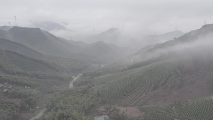 航拍云海茶园群山