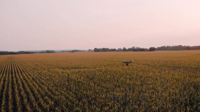 空中无人机在日落时飞越田野