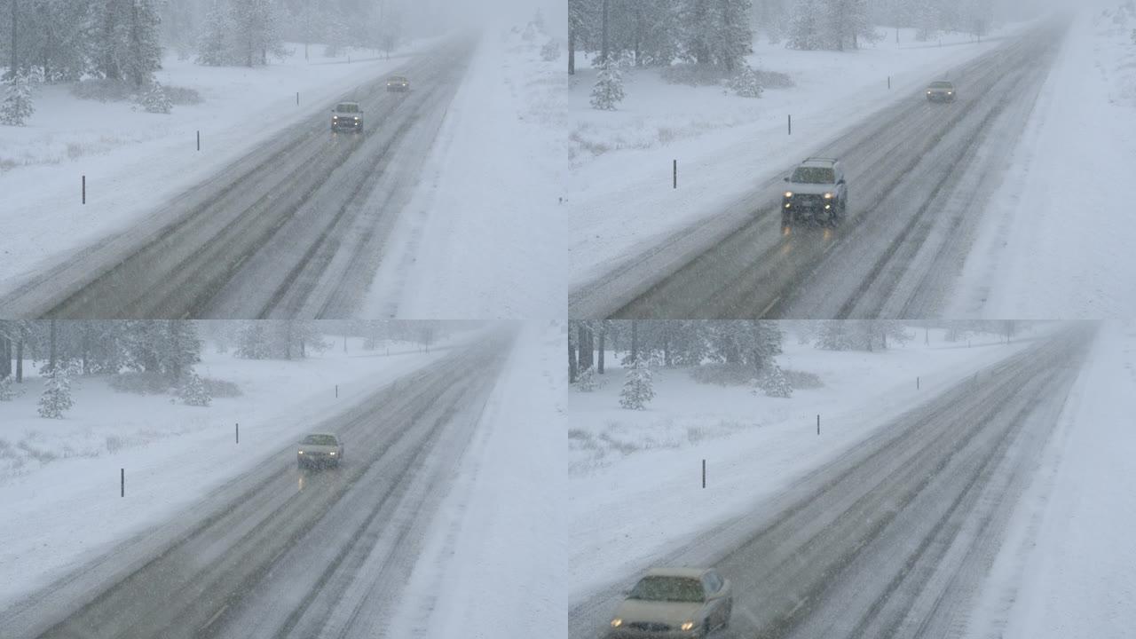 两辆汽车沿着一条冰冷的道路行驶，穿过被暴风雪困住的森林。