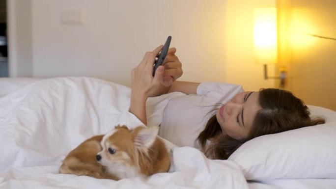 在床上使用电话女人躺在床上玩手机宠物狗狗