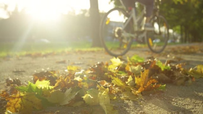 特写: 面目全非的人骑自行车经过一堆落叶。