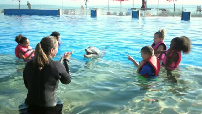 海洋教育公园的儿童与海豚，教练