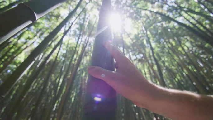 年轻人的特写手轻轻地抚摸着森林中的一棵竹树，用作可再生的可持续能源和不同类型的生态友好型绿色产品