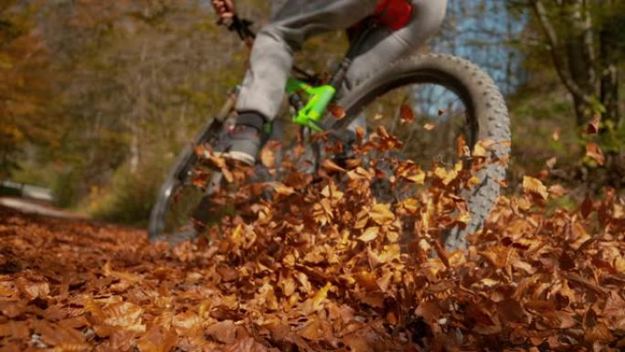 当男子骑着自行车沿着砾石小径行驶时，低角度落下的彩色叶子在空中飞舞