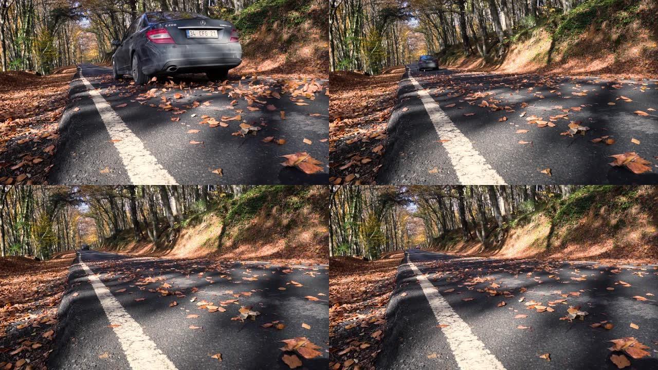 汽车穿过森林之路穿过树叶 (慢动作)