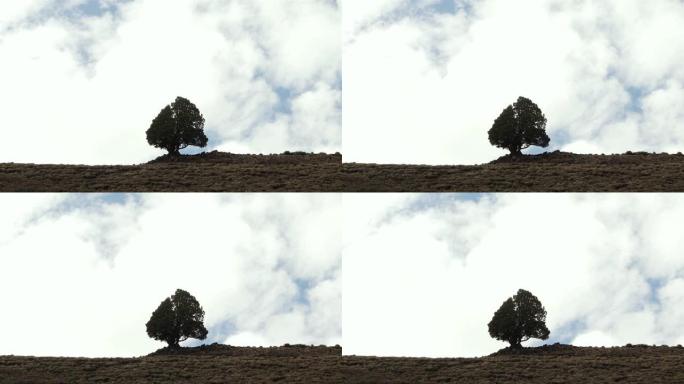 云在山上的一棵孤独的树上飞快地掠过。