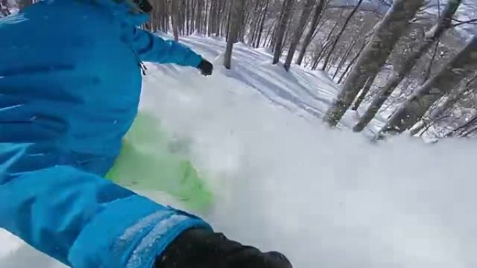 自拍酷自由滑雪板在危险的树木之间雕刻粉末雪