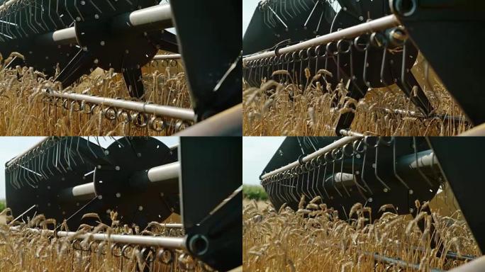 联合收割小麦的SLO MO旋转卷轴