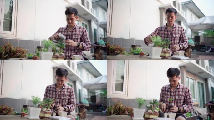 年轻的亚洲男子正在夯实土壤，而在家里种植室内植物，indoo